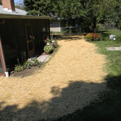 Seeding and Sod Installation